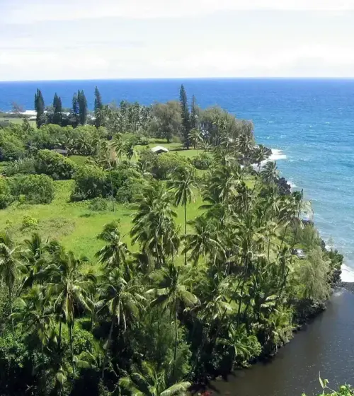 Coastal view of lush tropical greenery and palm trees next to ocean waves and a black sand beach in Hawaii