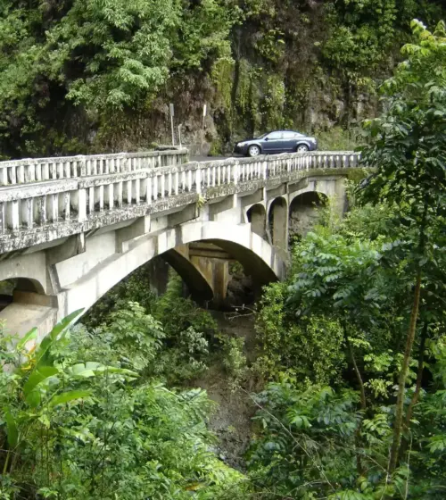 Concrete arch bridge crossing lush green tropical forest with a car parked on the roadway