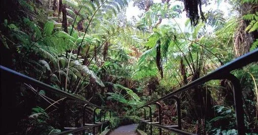 Oahu Grand Circle Island Tour