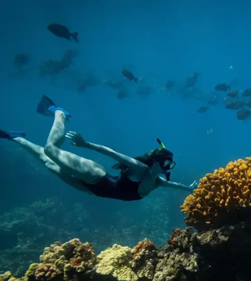 woman snorkeling underwater near vibrant coral reef and school of fish