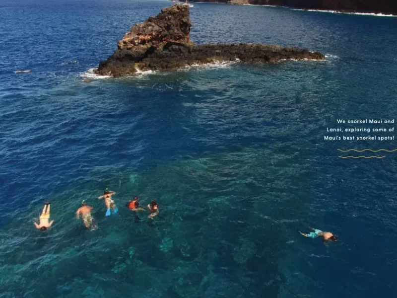 Dolphin Adventure &amp; Lanai Snorkel