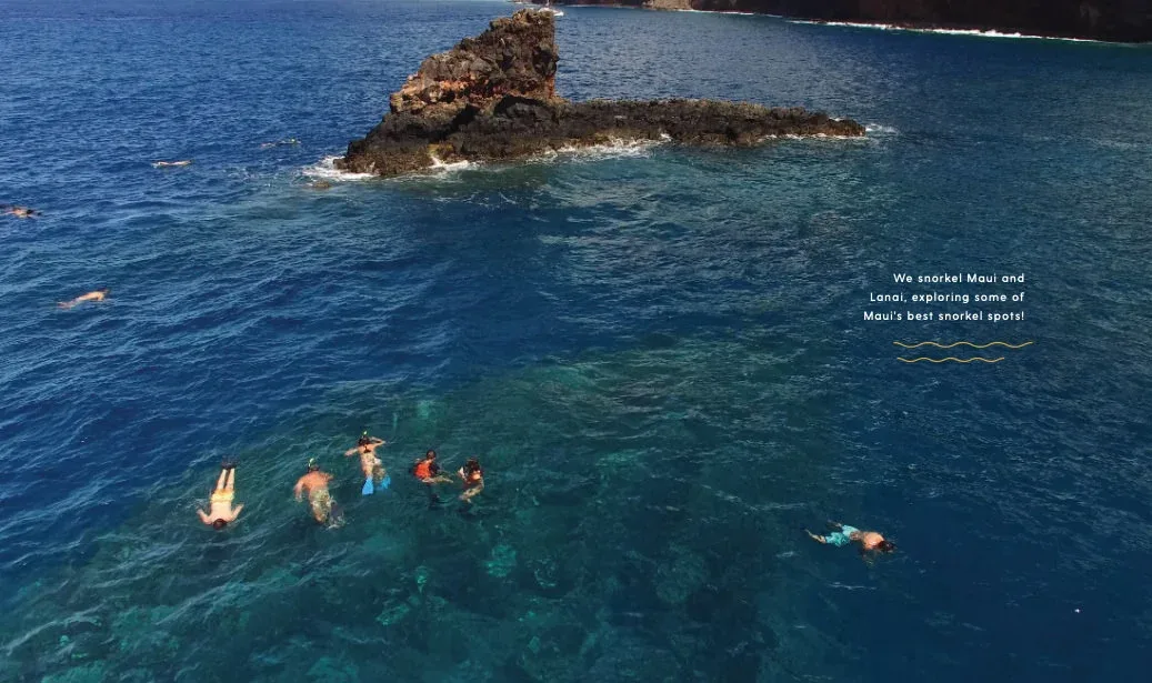 Dolphin Adventure &amp; Lanai Snorkel