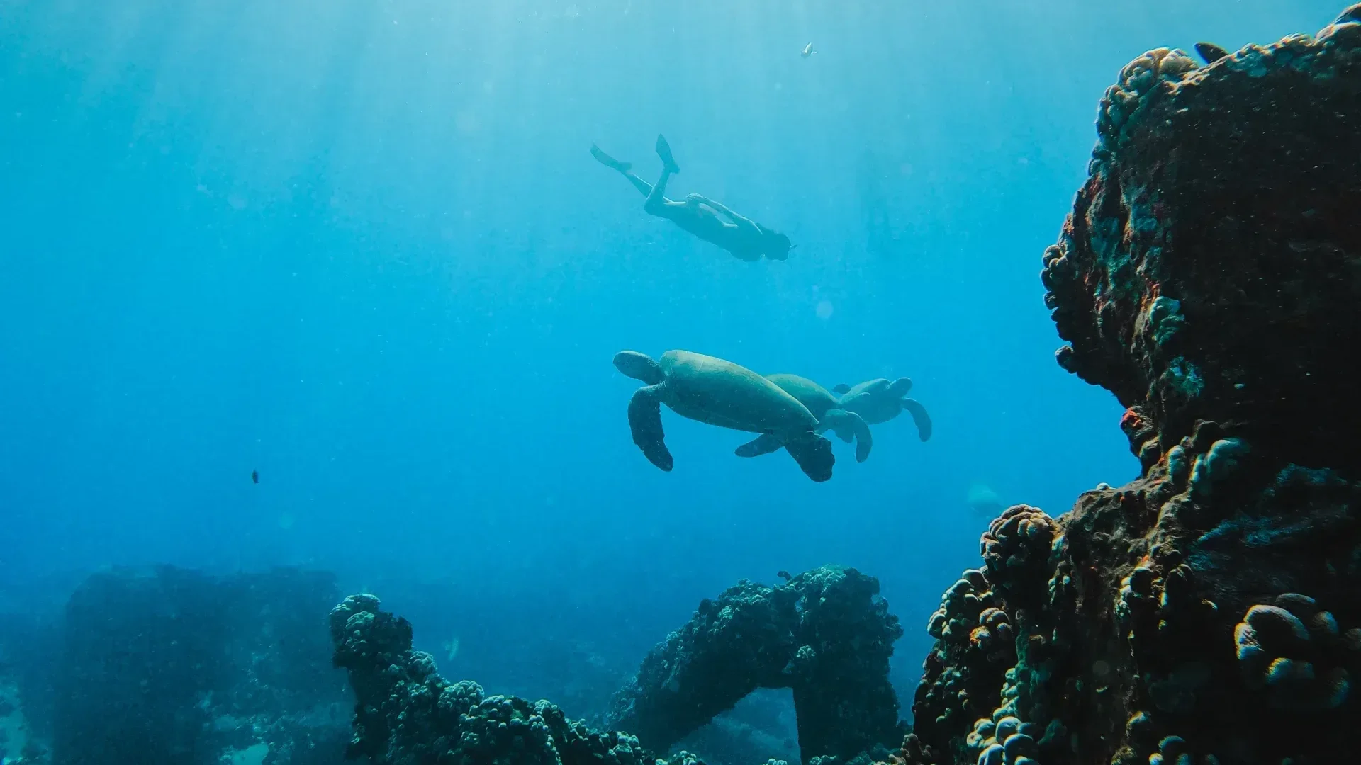 West Maui Snorkel &amp; Sail