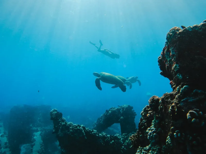 West Maui Snorkel &amp; Sail