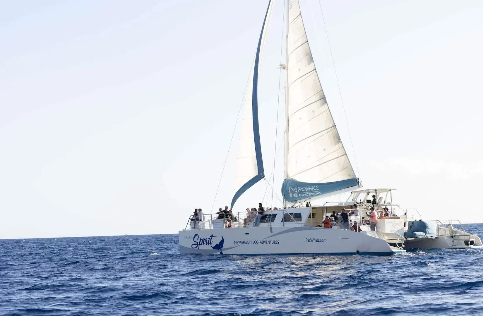 Maui Snorkel &amp; Sunset Sail