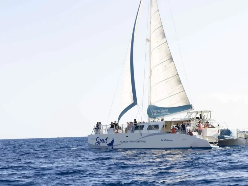 Maui Snorkel &amp; Sunset Sail