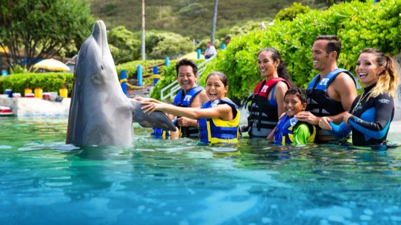 Dolphin Exploration