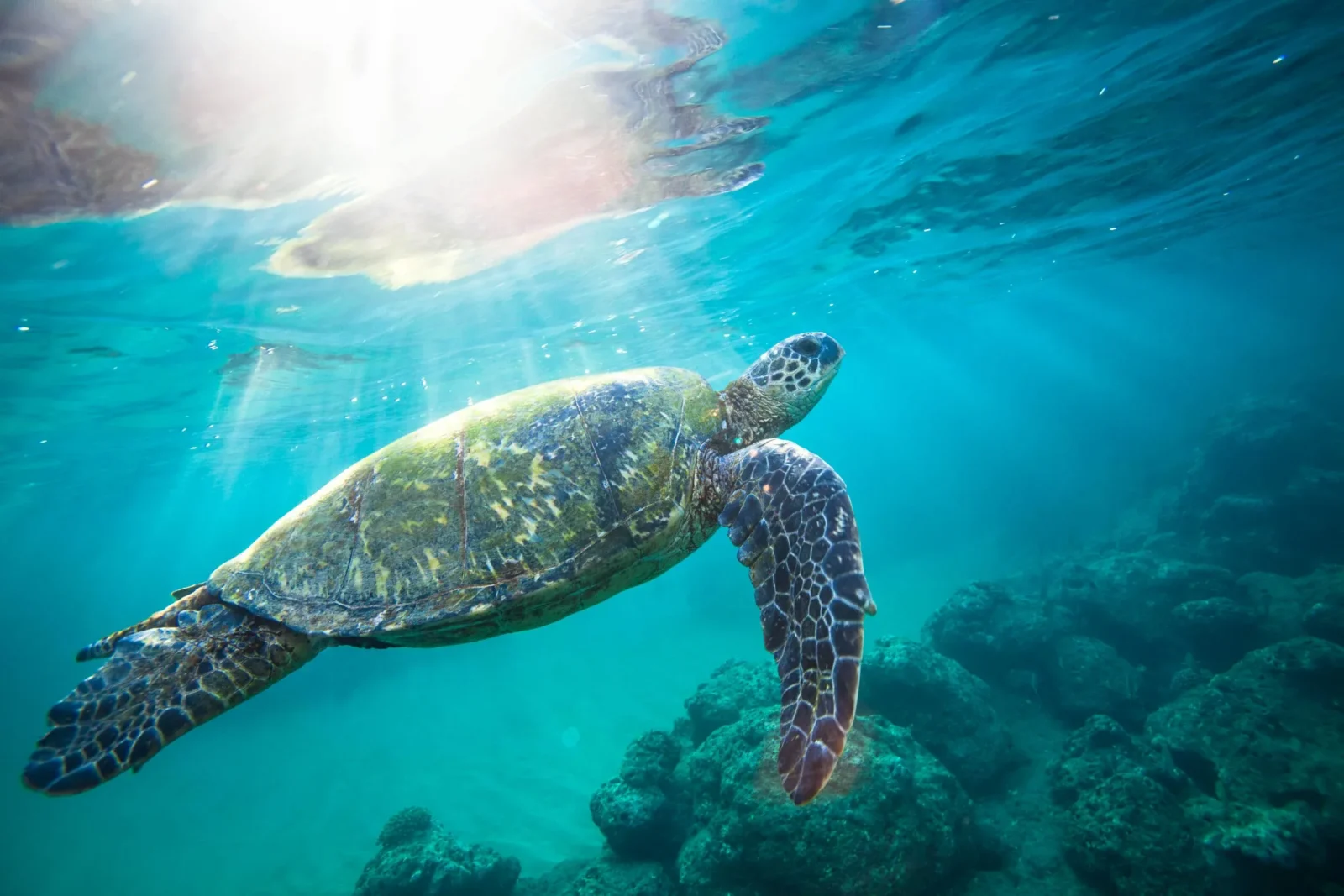 Nā Pali Snorkel Sail - 5hr