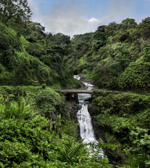 Lush green Hawaiian hillside with a flowing waterfall under a small bridge beside a winding road