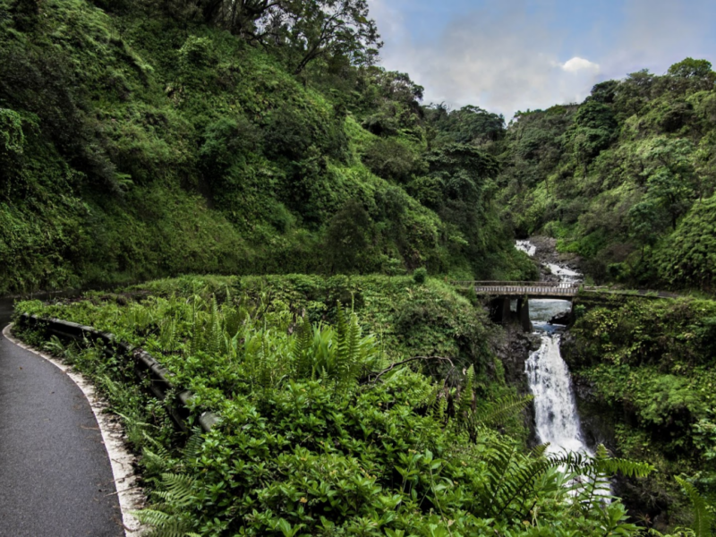 Road to Hāna Tour