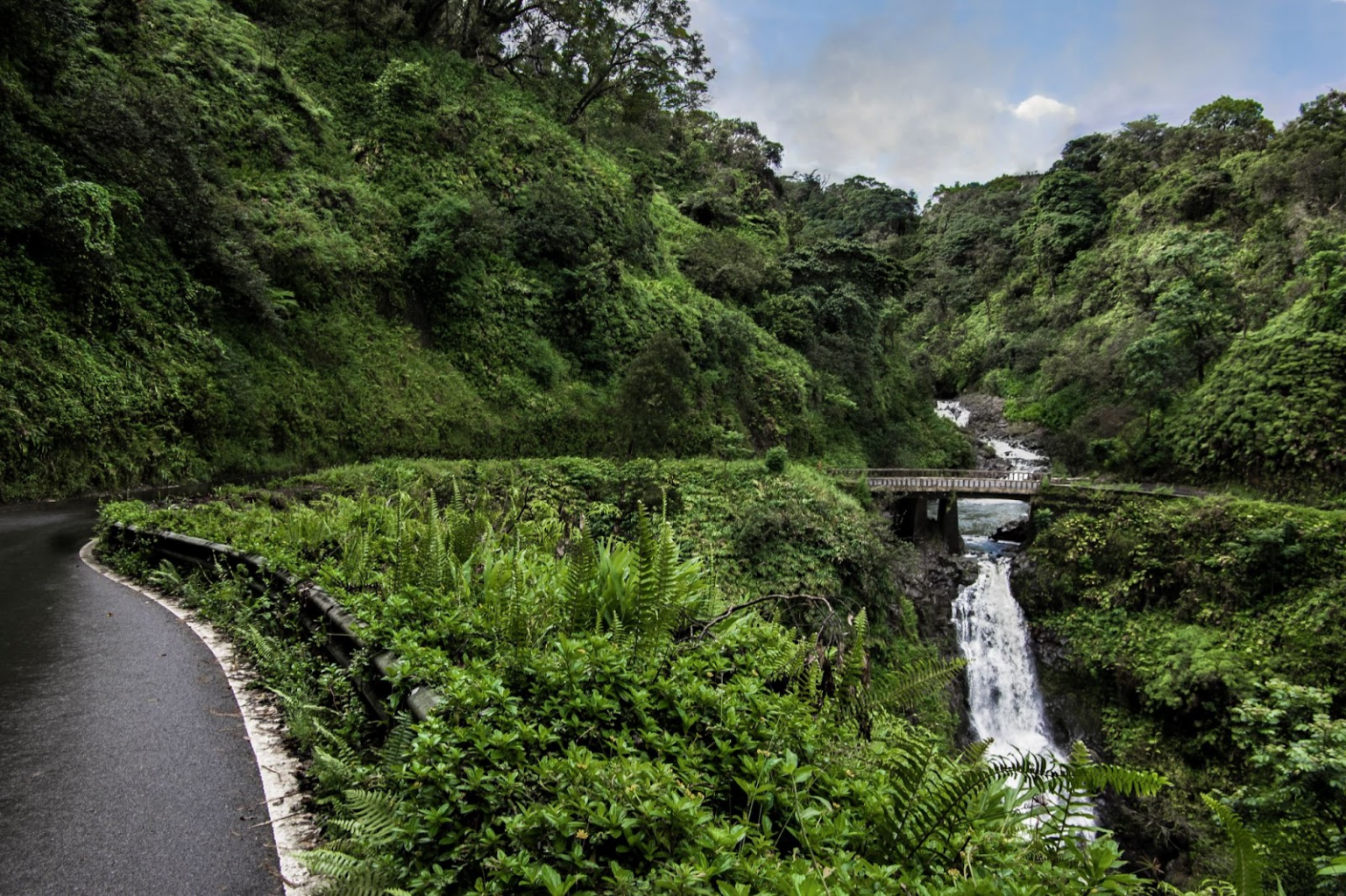 Road to Hāna Tour