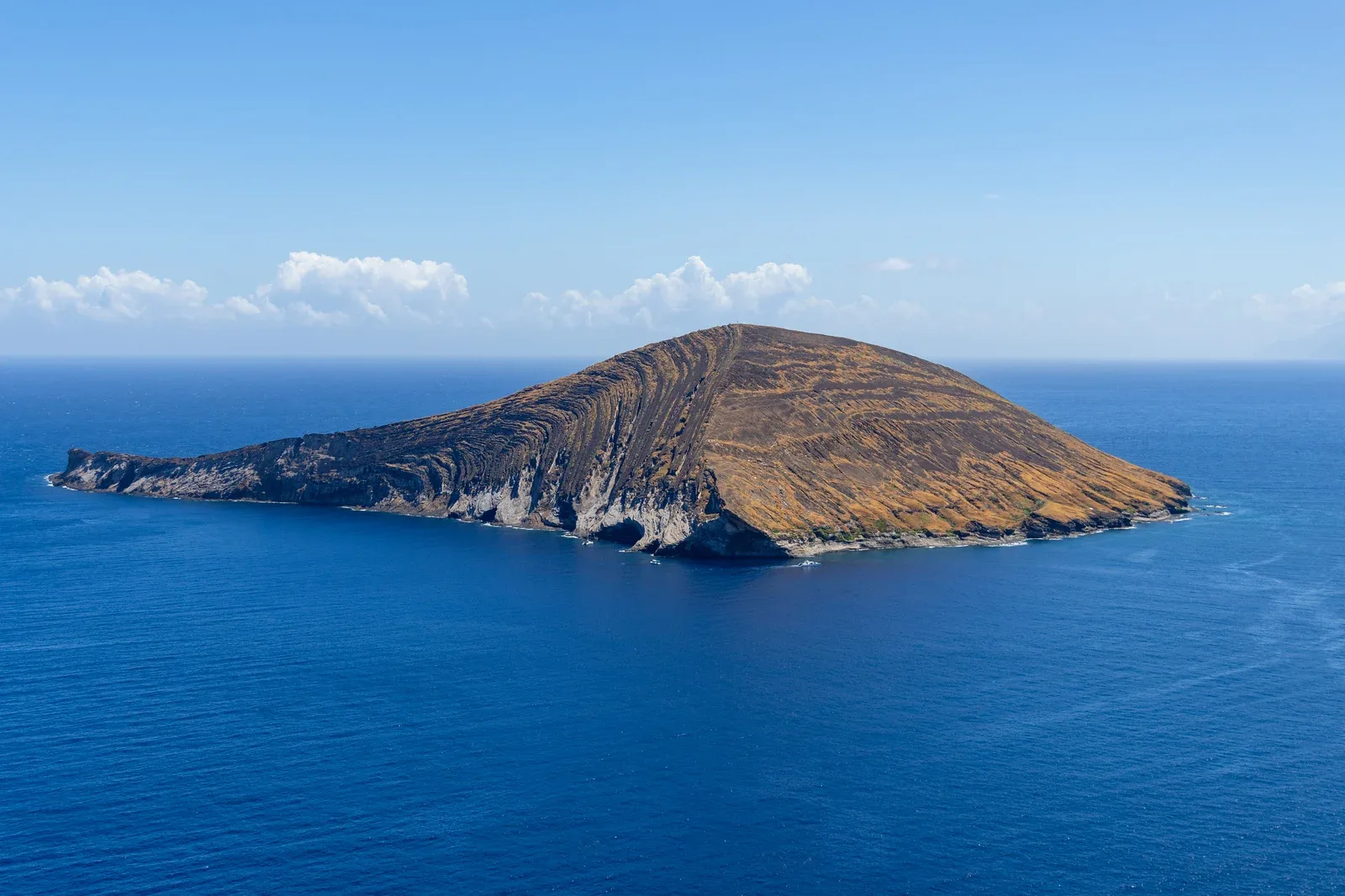 Super Snorkel: Niihau &amp; Napali Coast Tour 7hr