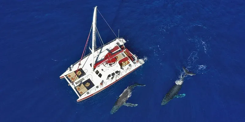 Corporate &amp; Event Charters