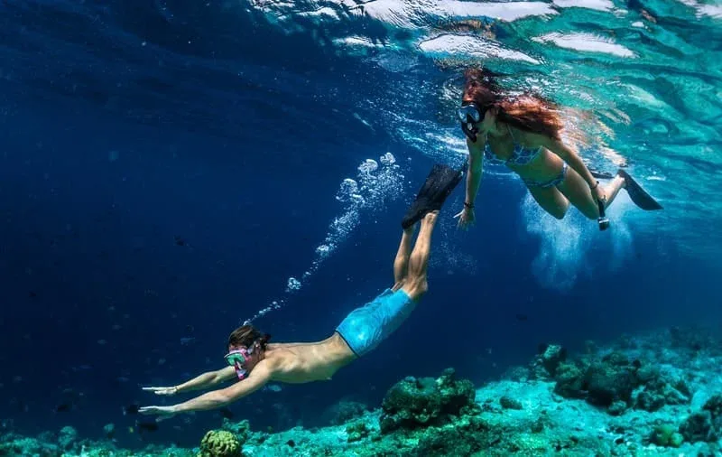 Maui Shoreline Snorkeling Tour