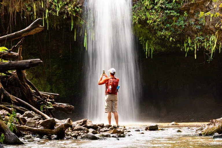 Waterfall &amp; Rainforest Hike (East Maui Waterfalls Rainforest Hike)