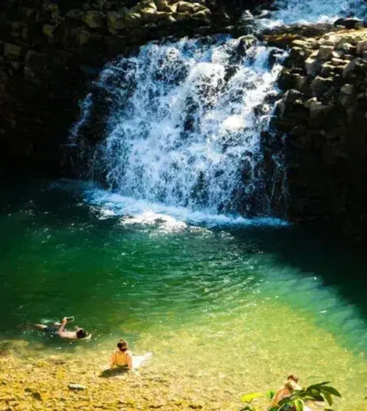 People swimming and relaxing near a small waterfall in a stone pool surrounded by greenery