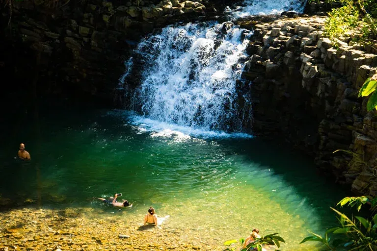 Waterfall &amp; Rainforest Hike Private Tour