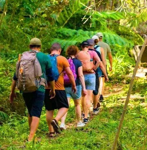 group of hikers walking on a green forest trail