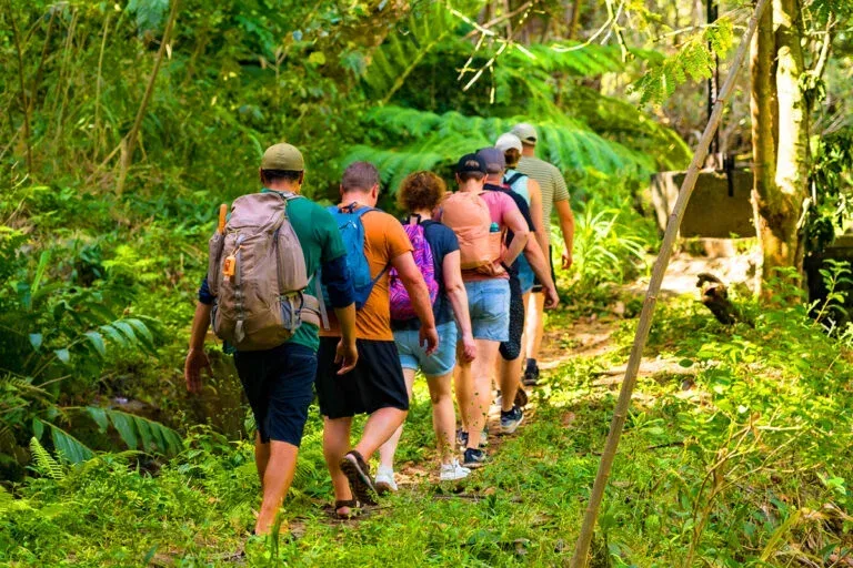 Ultimate Hana Full-Day Adventure (Hana Full-Day Waterfalls Rainforest Hike)