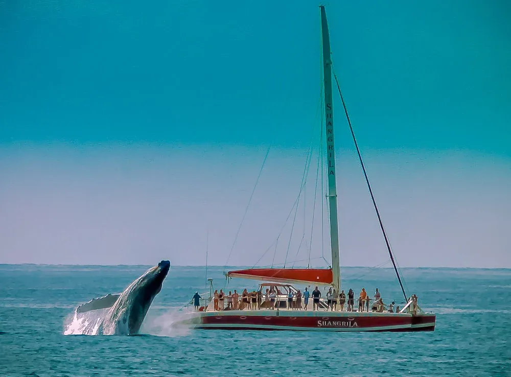 Shangri-La Private Day Charters