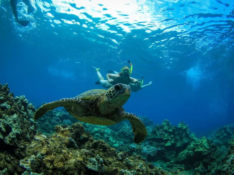 AM Serenity Snorkel