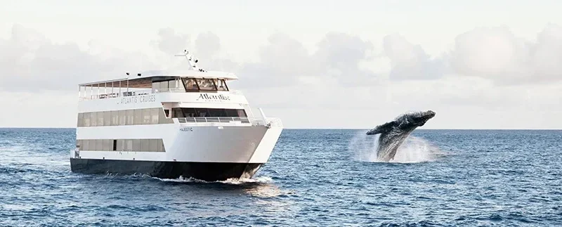 Whale Watch Cruise