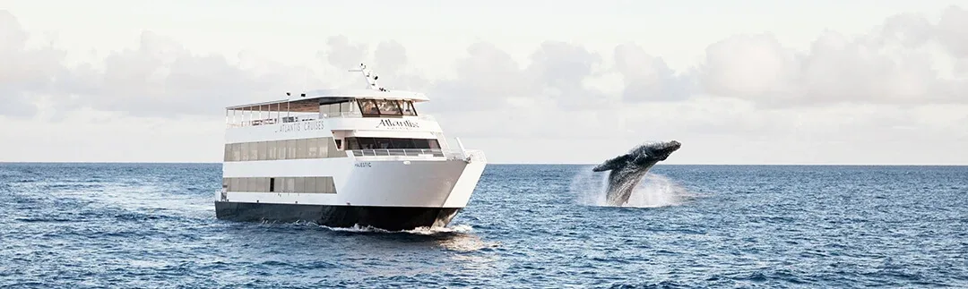 Whale Watch Cruise