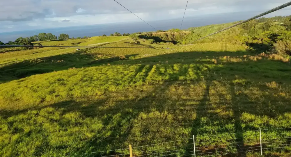 zip line cables extending over green rolling hills toward ocean under partly cloudy sky