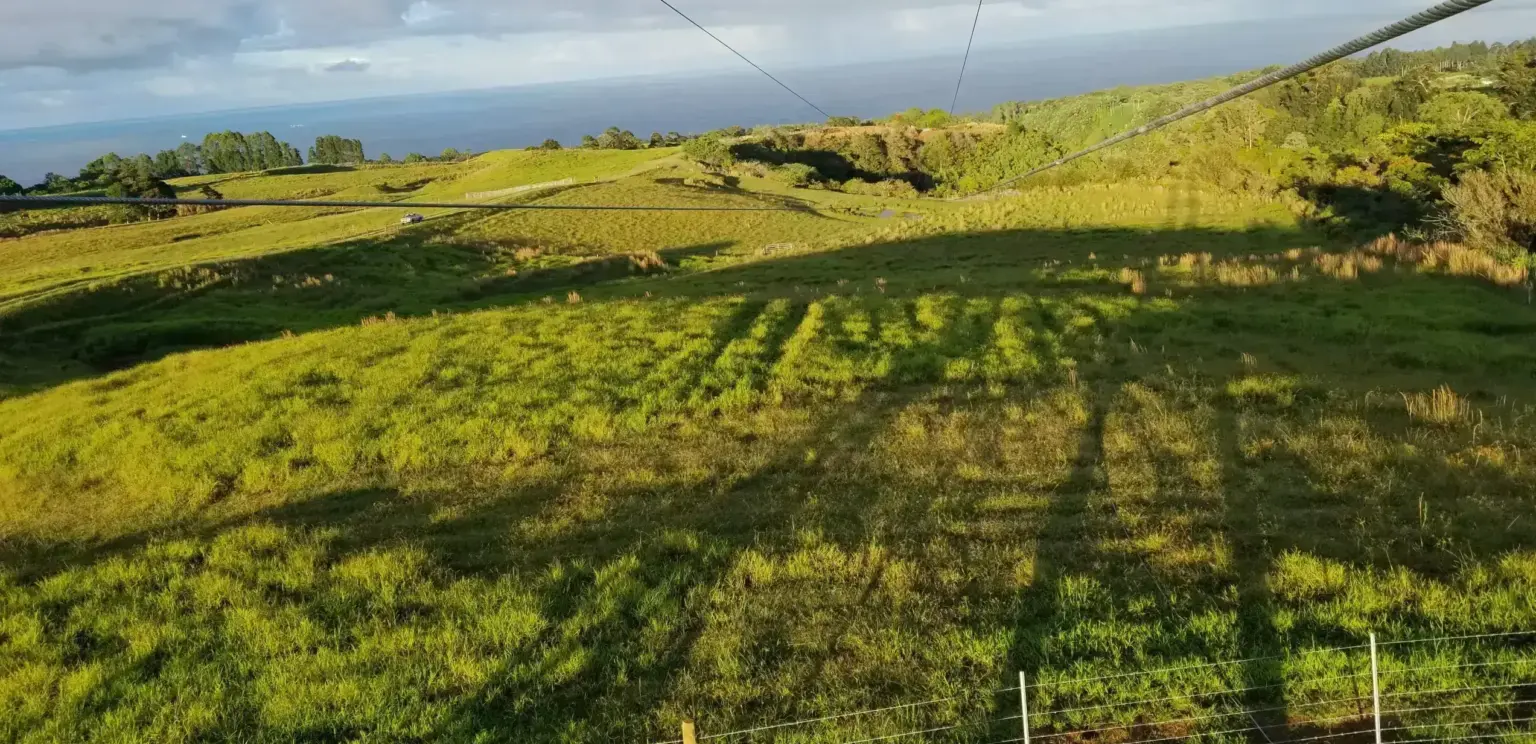zip line cables extending over green rolling hills toward ocean under partly cloudy sky