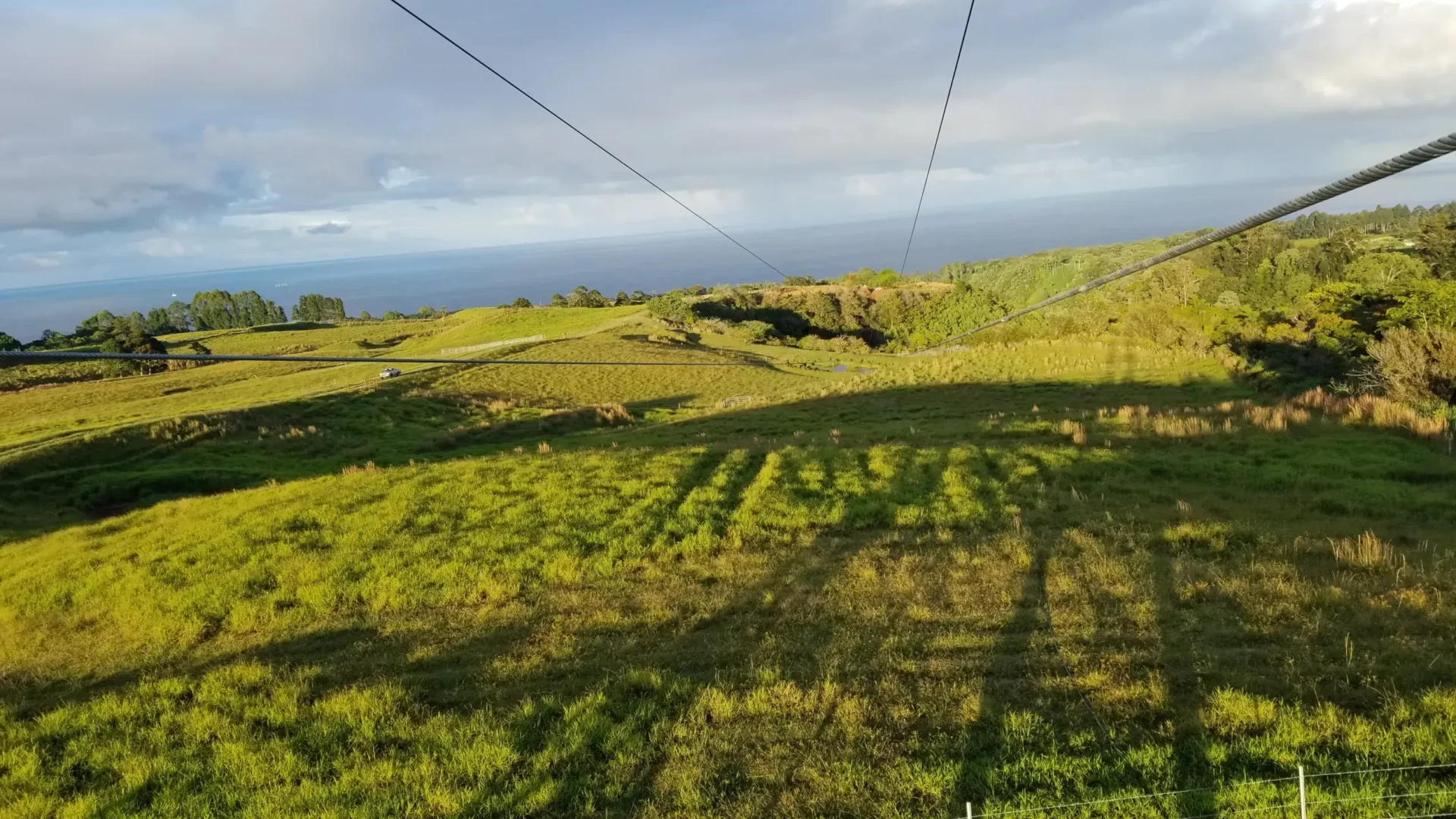 Zipline at Botanical World Adventures