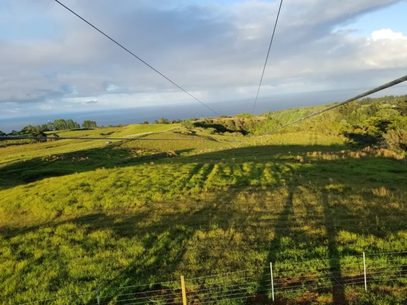 Zipline at Botanical World Adventures