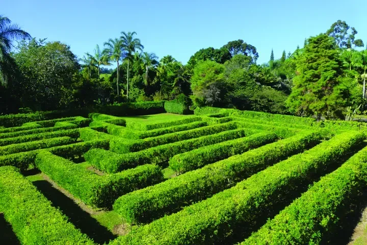 Self-Guided Garden Day Pass