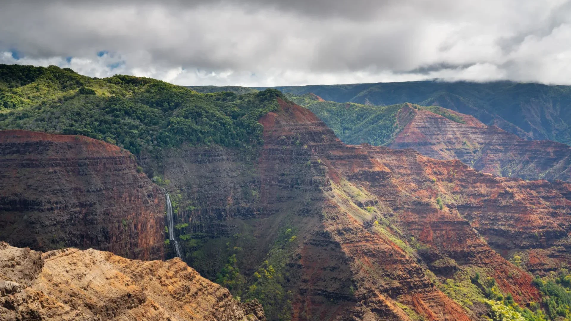 Kauaʻi Waimea Canyon &amp; Kōkeʻe Adventure