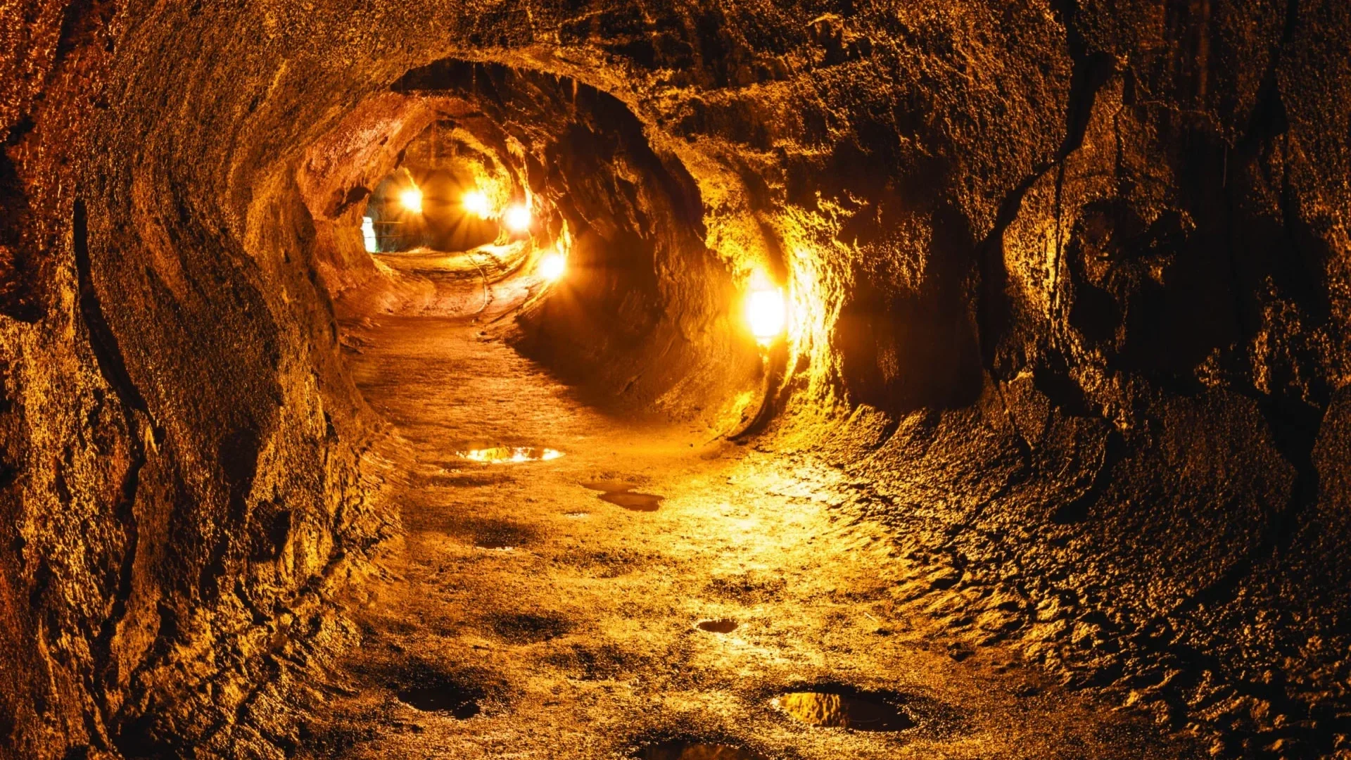 Hawaiʻi Island Volcano Adventure Tour (From Hilo)