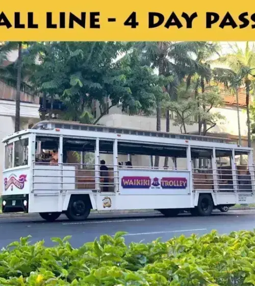 White Waikiki Trolley bus parked on street with palm trees in background
