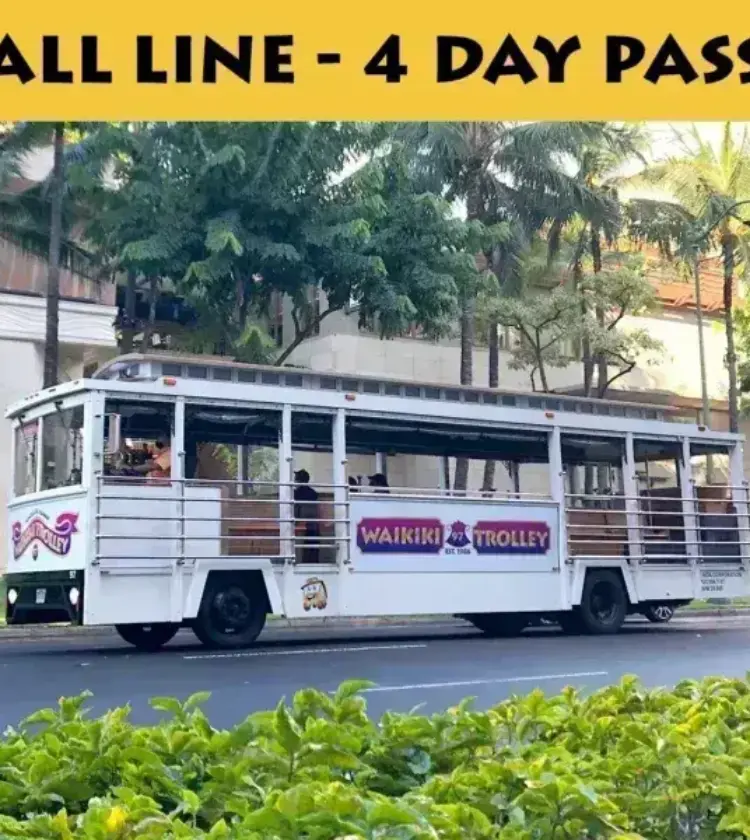 White Waikiki Trolley bus parked on street with palm trees in background