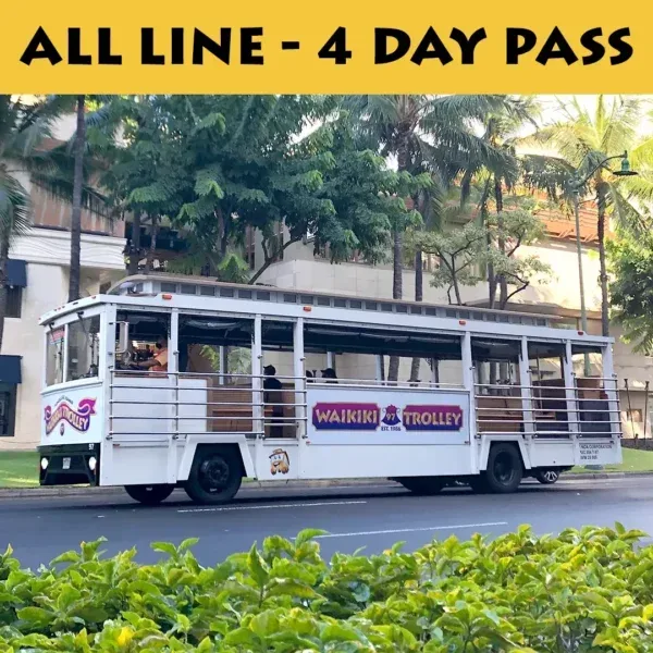 All Lines – Four Day Pass