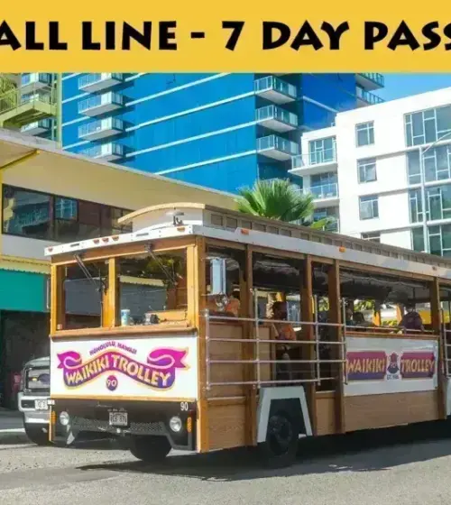 Waikiki trolley bus parked on city street with urban buildings in background