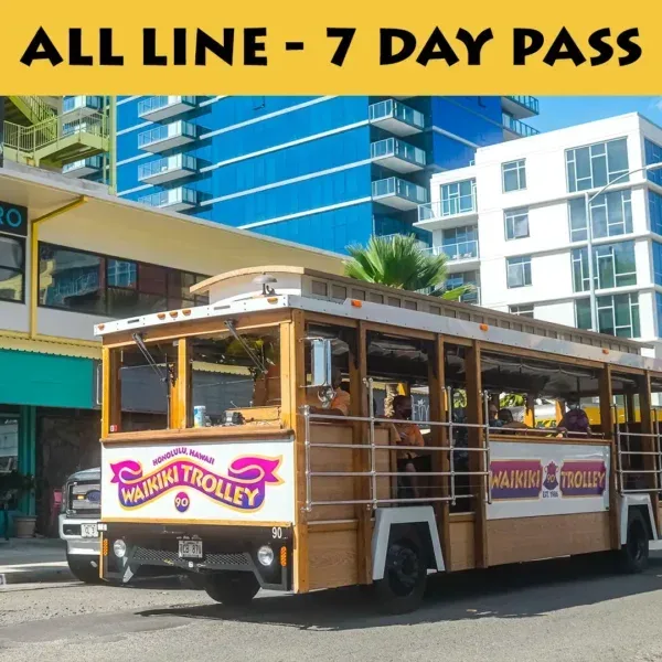 All Lines – Seven Day Pass