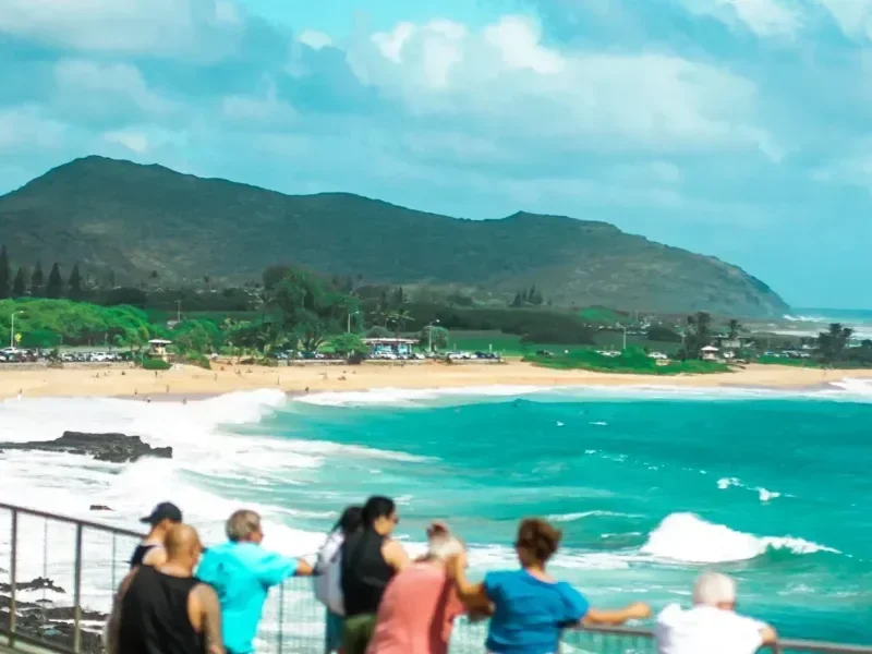Blue Line: Coastline &amp; Local Grinds
