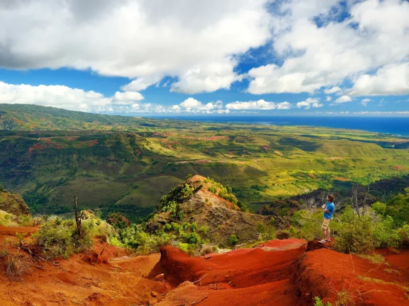 Kauaʻi Waimea Canyon &amp; Kōkeʻe Adventure from Oʻahu