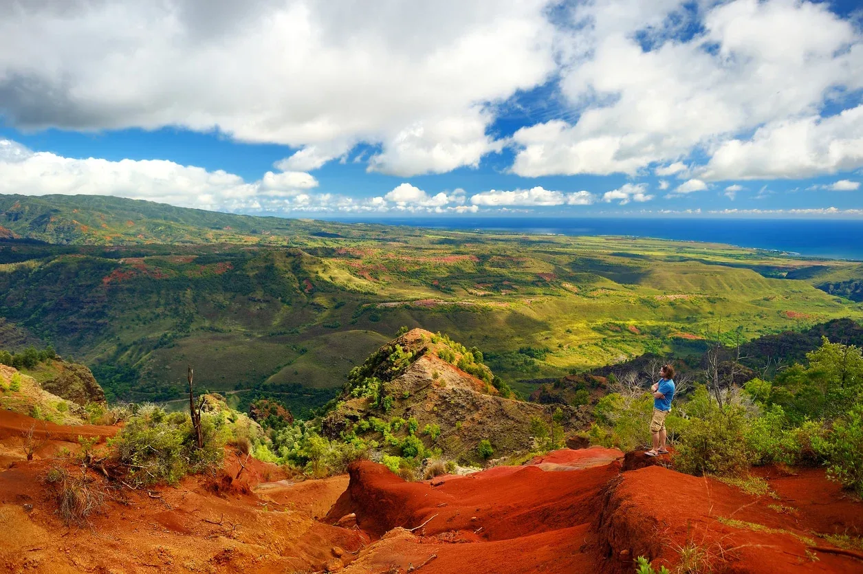 Kauaʻi Waimea Canyon &amp; Kōkeʻe Adventure from Oʻahu