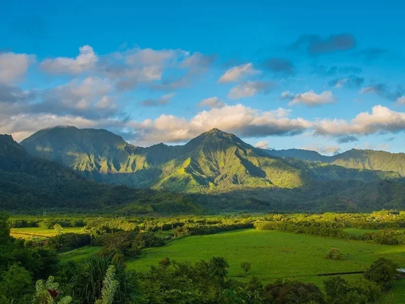 Kauaʻi Movie Tour / Kauaʻi Highlights &amp; Movie Sites