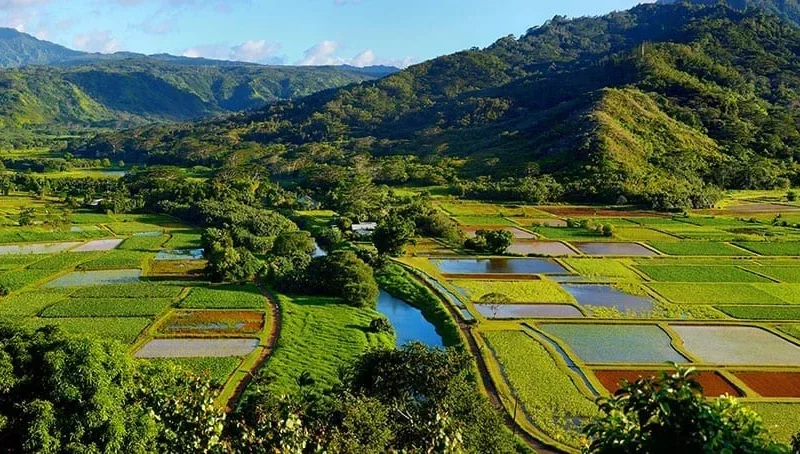 Kauaʻi Movie Adventure from Oʻahu