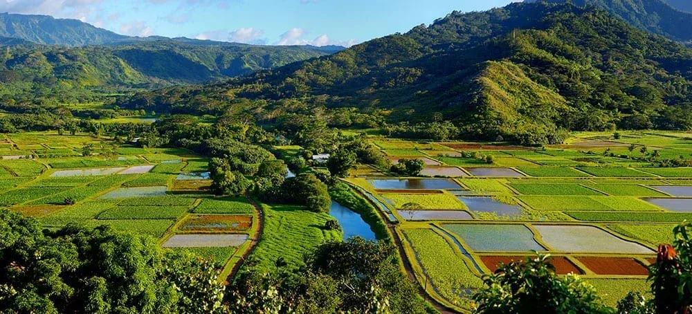 Kauaʻi Movie Adventure from Oʻahu