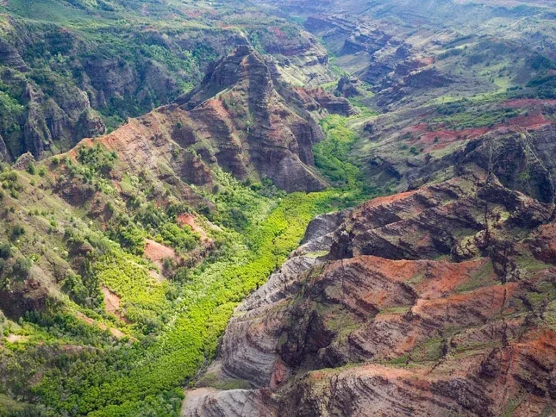 Waimea Canyon, Wailua River &amp; Fern Grotto Tour