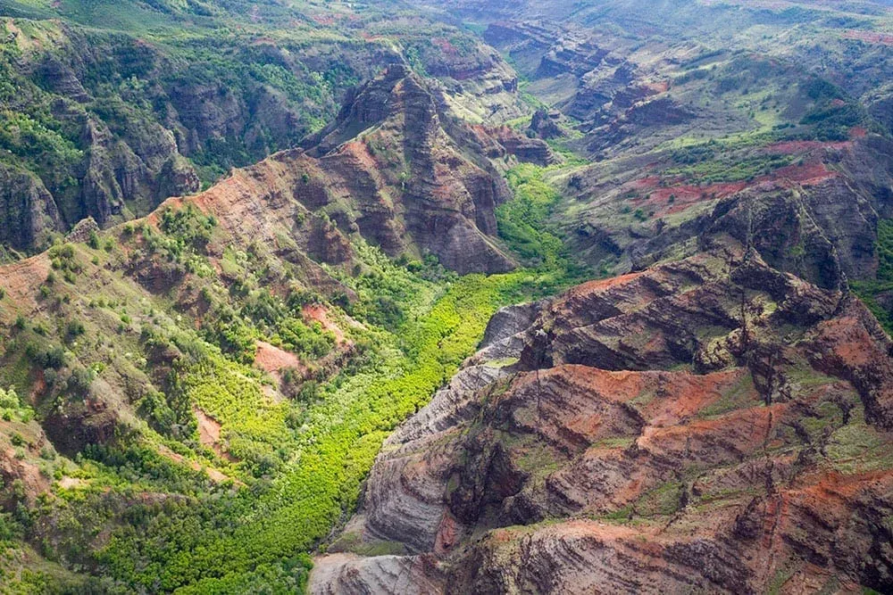 Waimea Canyon, Wailua River &amp; Fern Grotto Tour