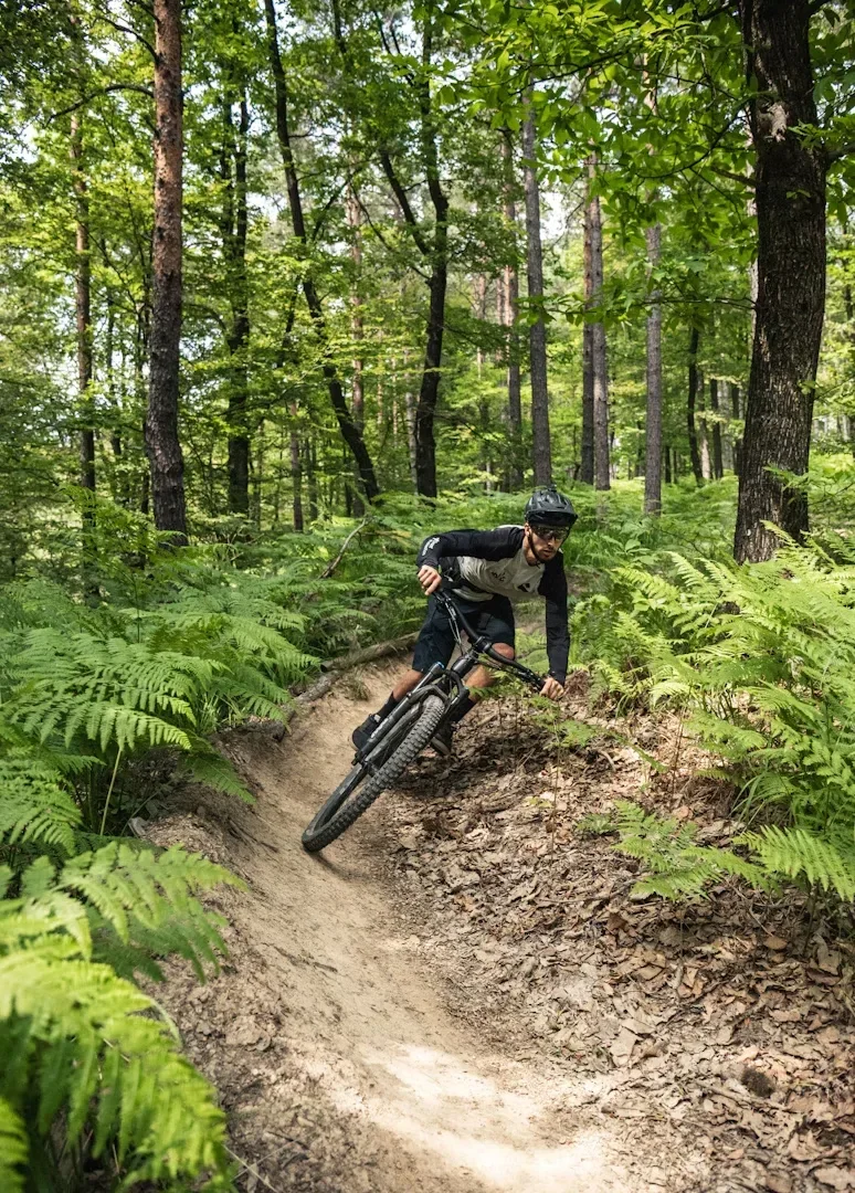 Jungle Falls Bike Adventure