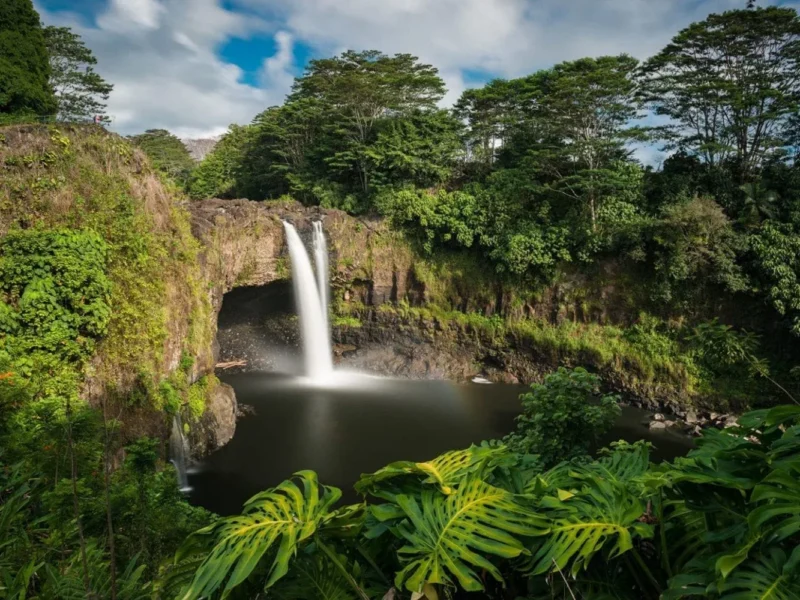 Waimea Canyon &amp; Fern Grotto Tour from Oʻahu