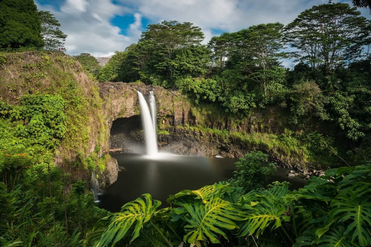 Waimea Canyon &amp; Fern Grotto Tour from Oʻahu